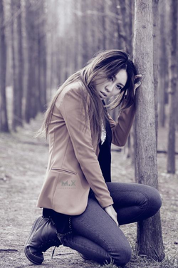 禁止下载的100个软件入口精选内容